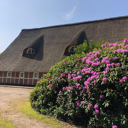 Ferienwohnungen Unter Den Eichen Stade Eksteriør billede