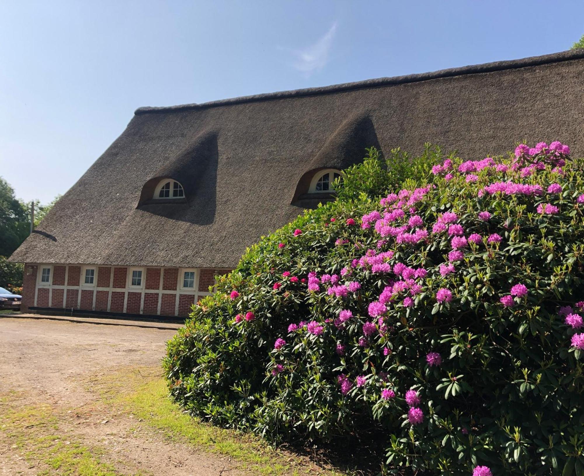 Ferienwohnungen Unter Den Eichen Stade Eksteriør billede